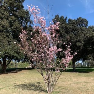 Meet your Posher, Izumi